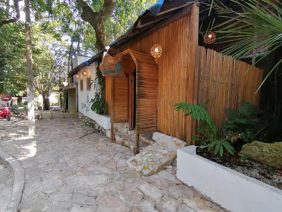 Casa Tortuga Azul - B&B
