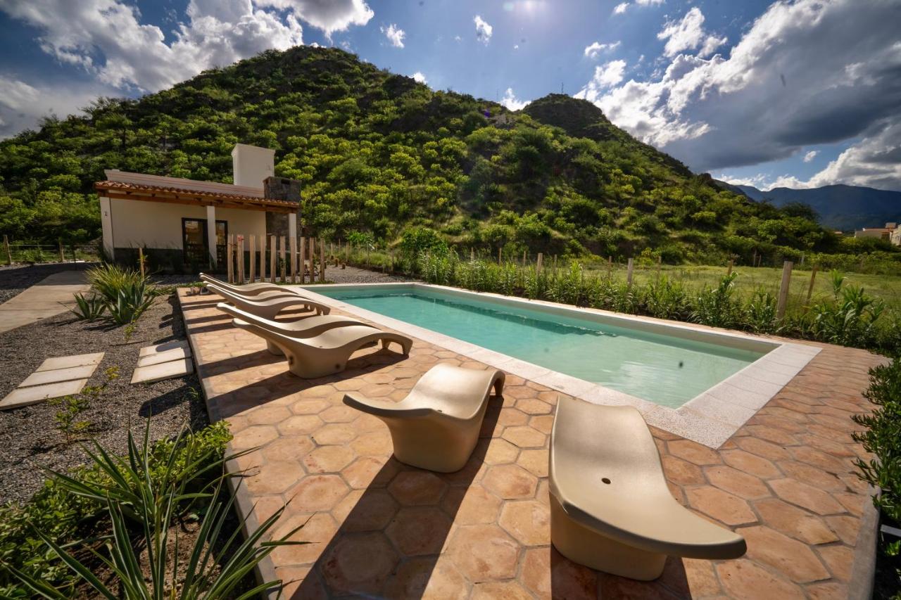 Complejo Los Olivos - casa 3 y 4 - B&B