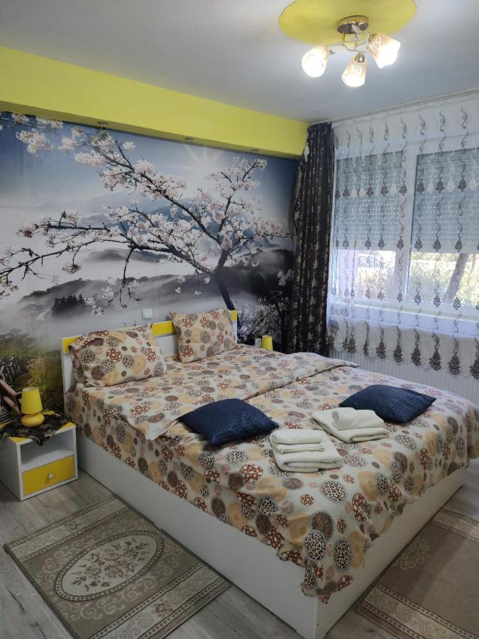 B&B Hunedoara - Family Rooms Hunedoara - Bed and Breakfast Hunedoara