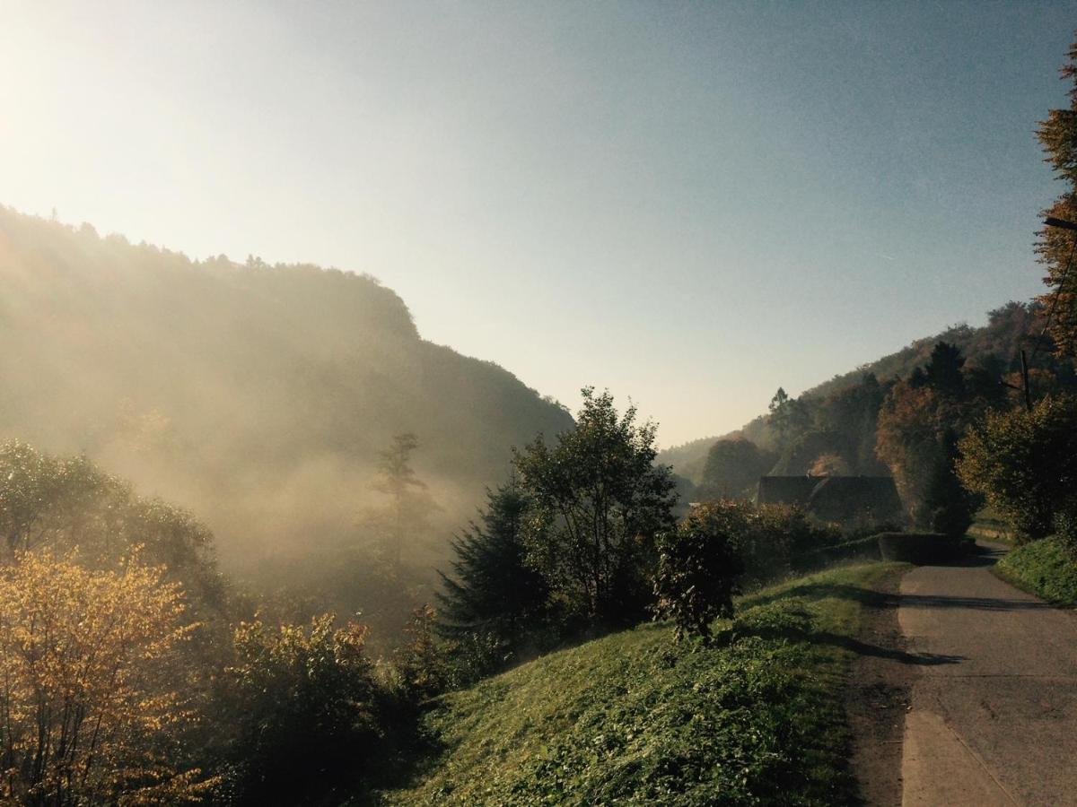 Willa Pod Bocianem - B&B Ojców