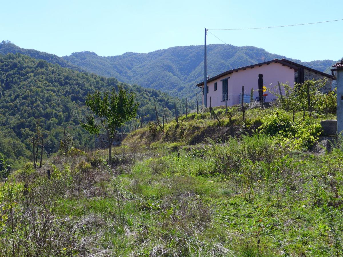 Mini Appartement Colombana - B&B Aulla