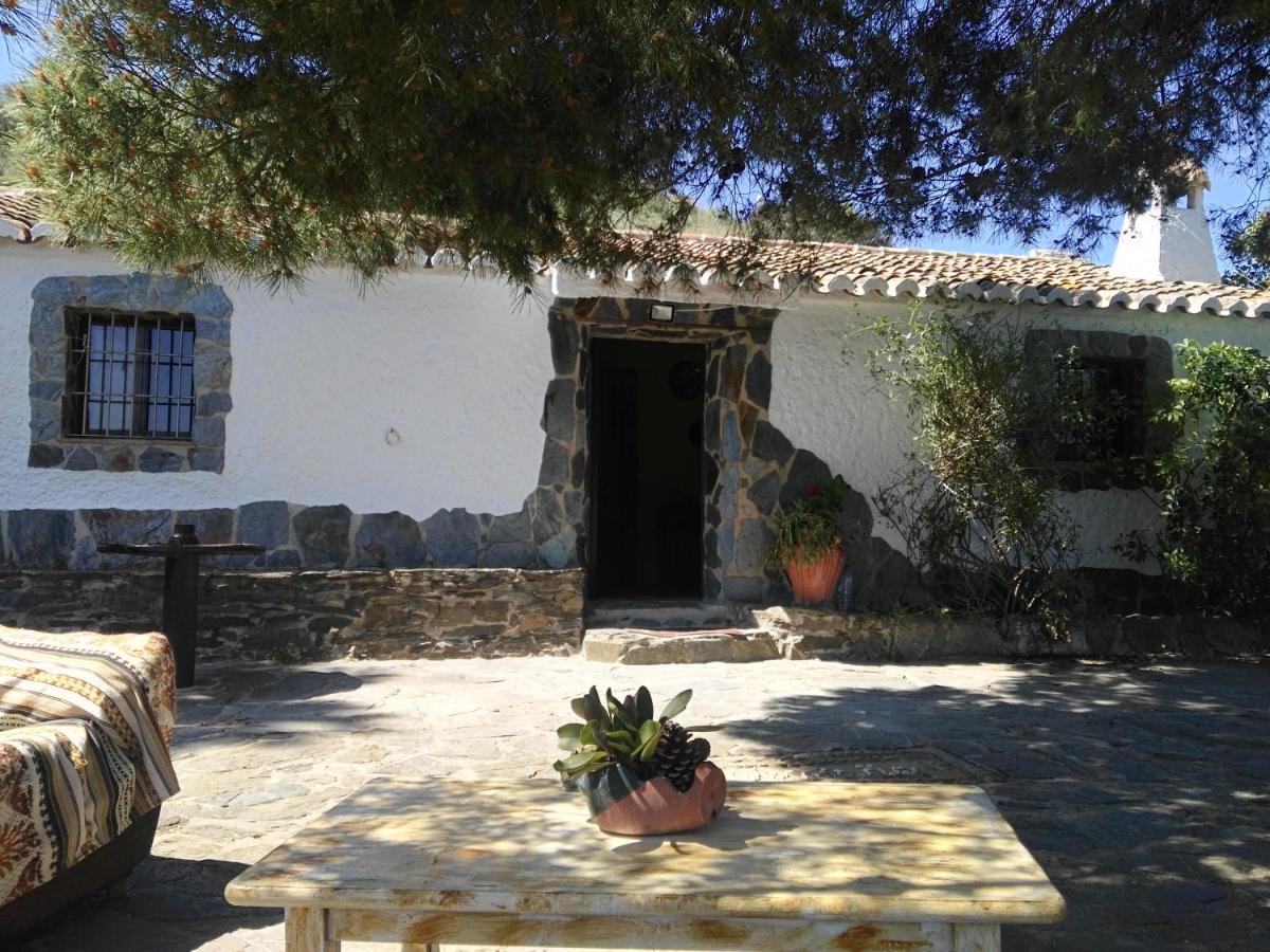 Pinar El Almendra - B&B Málaga