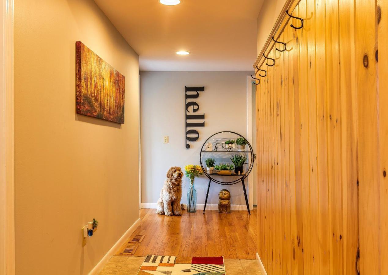 Stunning Lake Front! Modern+Chic+Cosy pet friendly - B&B Eden