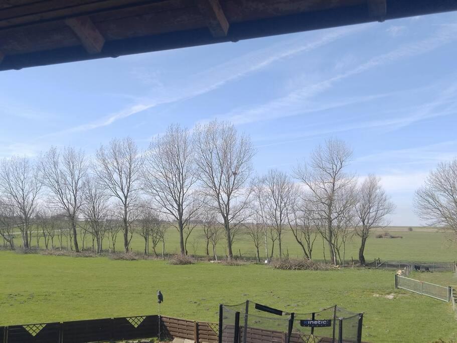 Erholung auf der Deichschäferei mit Deichblick - Ferienwohnung