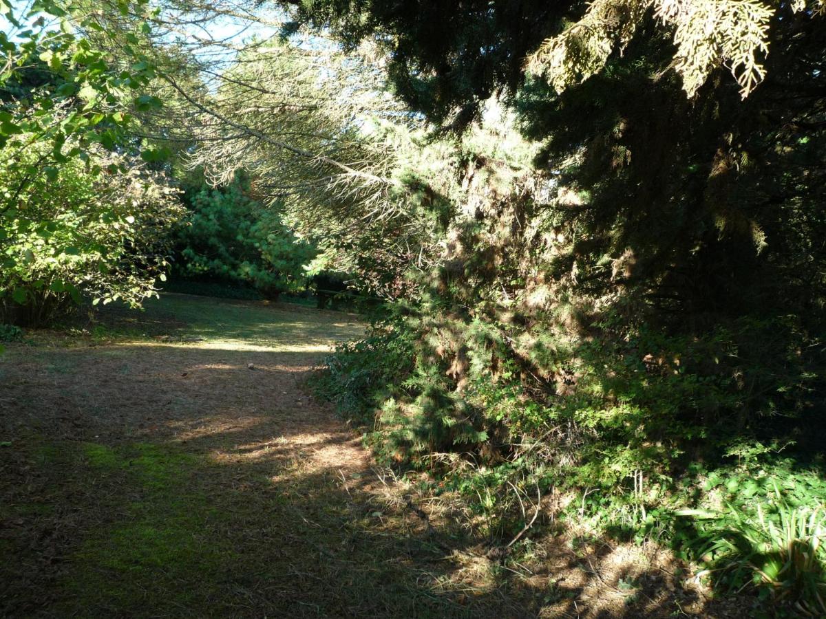 Le Logis du Peu Girard - Ferienwohnung La Roche-Clermault