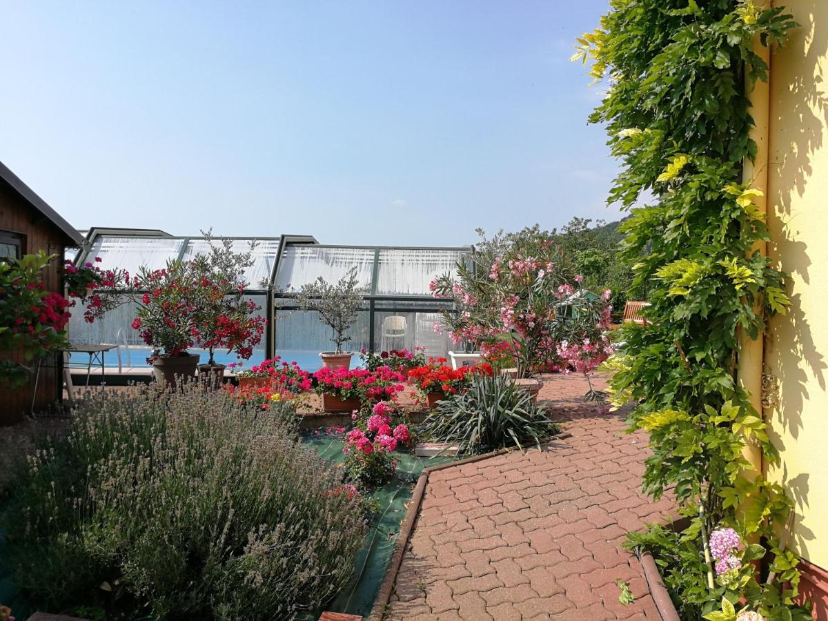 Chambre d'hôtes de la tulipe - B&B Mittelbergheim