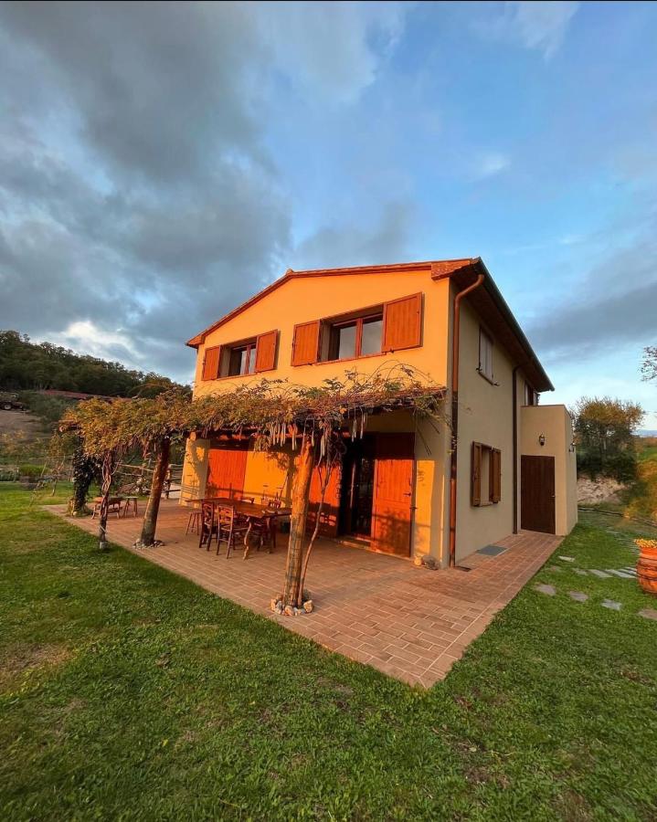 B&B Sticciano - Agriturismo Il Sorbo Appartamento Menta - Bed and Breakfast Sticciano