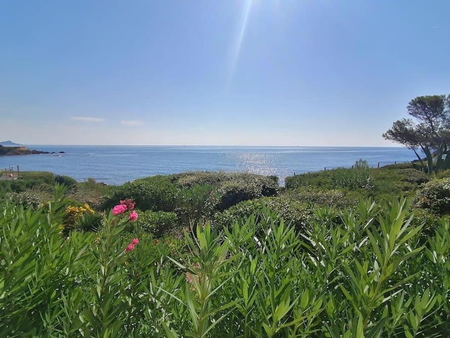 Le Nautile, résidence Les Corailleurs, duplex surplombant la mer, 6 pers - Ferienwohnung Saint-Aygulf