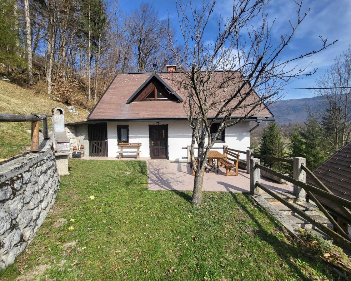 B&B Bohinjska Bistrica - River Valley View House - Bed and Breakfast Bohinjska Bistrica