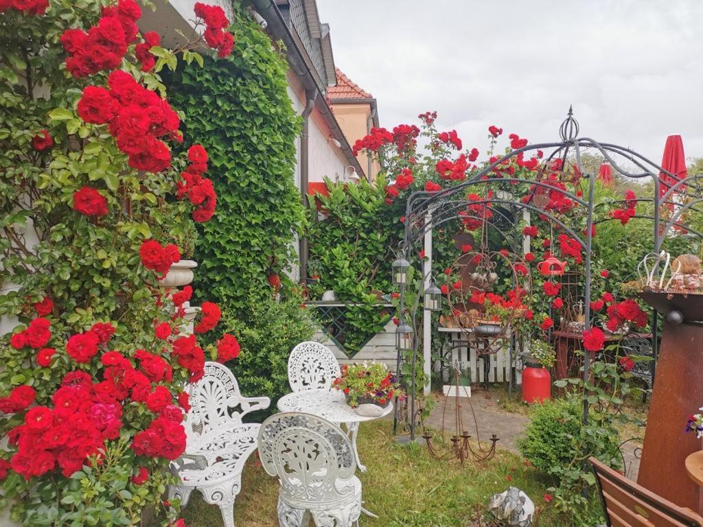 B&B Dranske - cafesahne u Pension - Bed and Breakfast Dranske