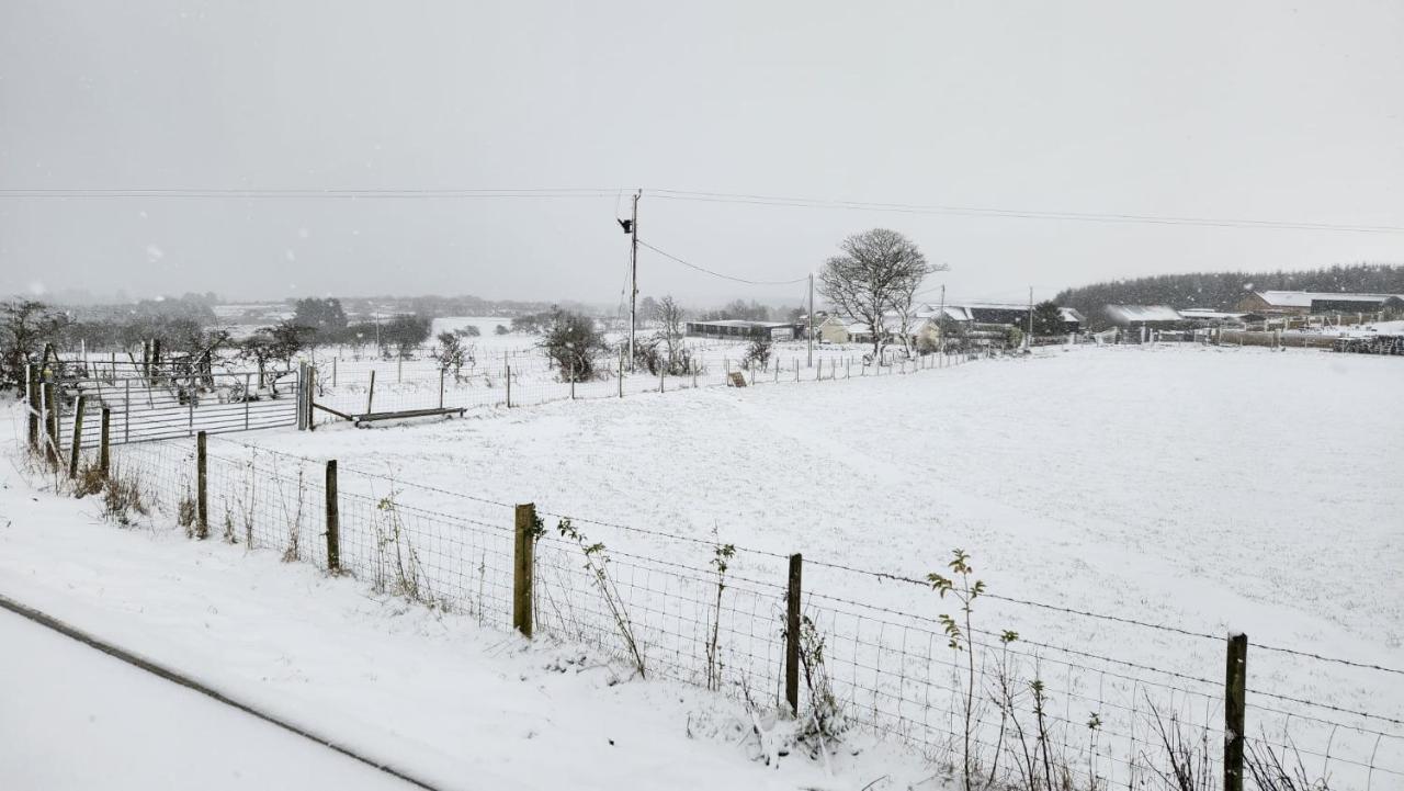 Belraugh Mountain View Hot Tub Lodges - Bed and Breakfast Garvagh