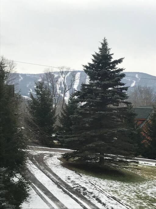 Mountain view apartment, 5mins to Ski Area! - Chambres d'hôtes Windham