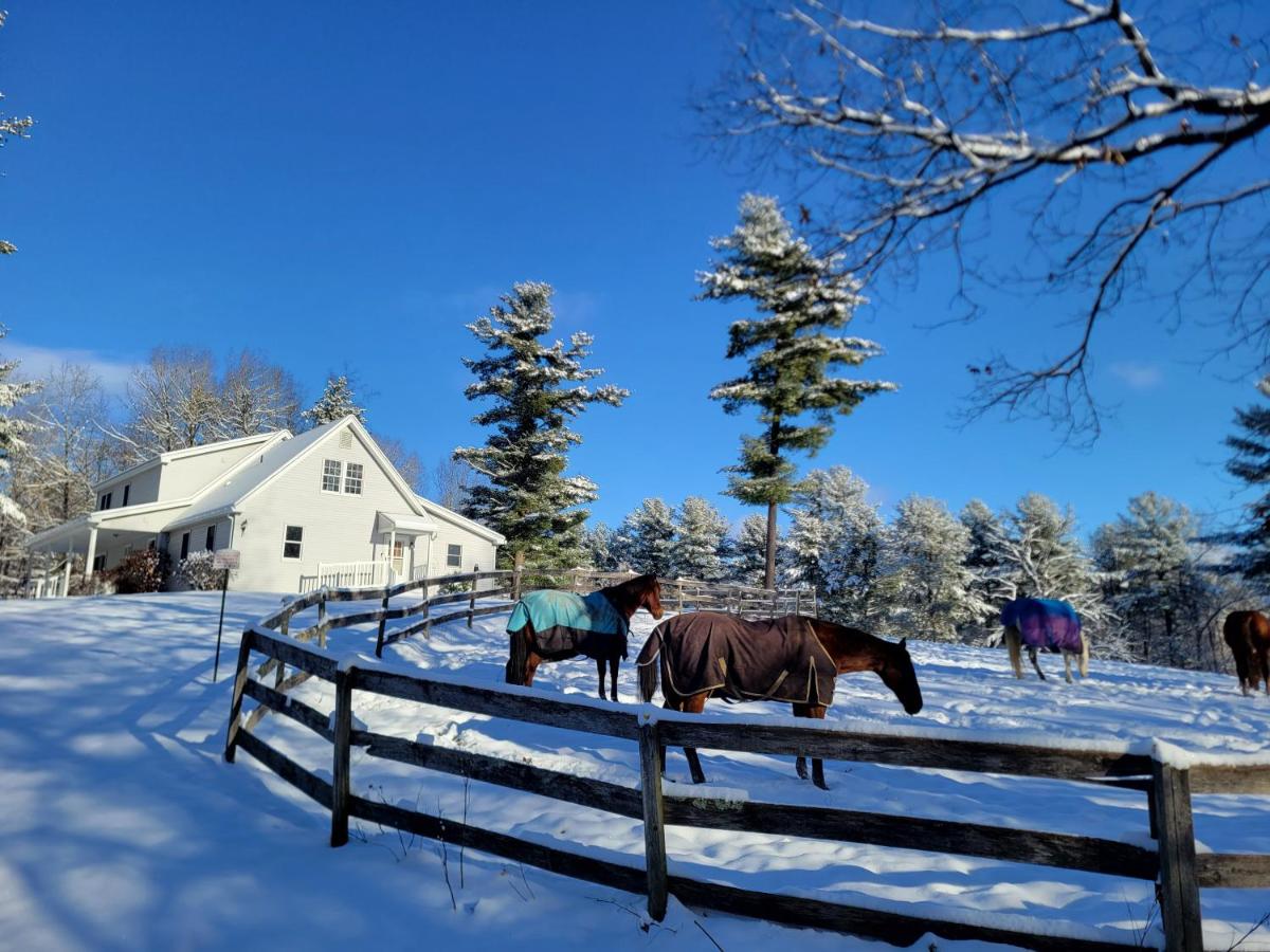 B&B Belchertown - The Suite at Liberty Woods - Bed and Breakfast Belchertown