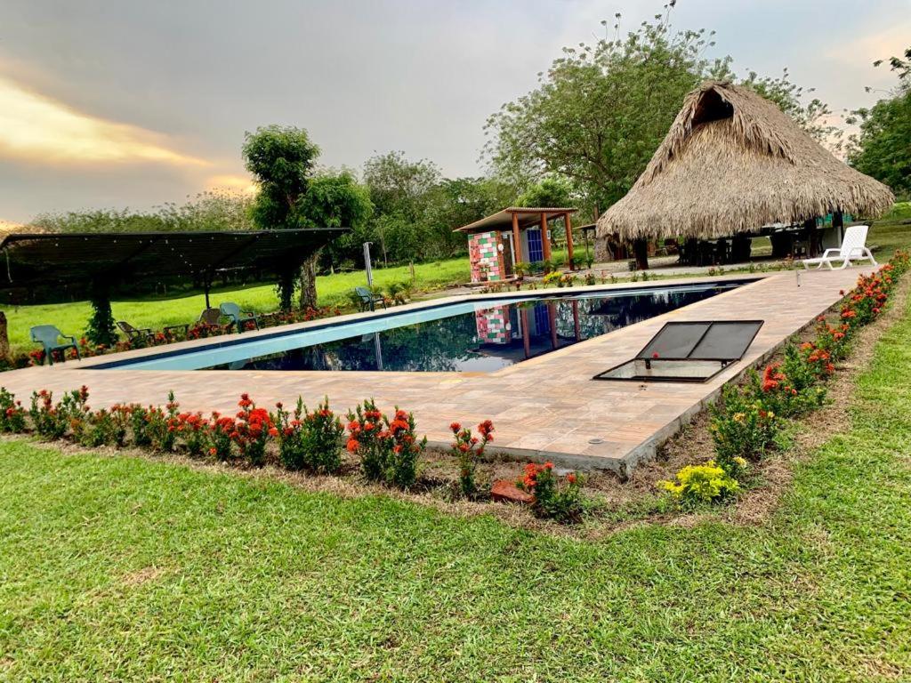 Los Potrillos - B&B
