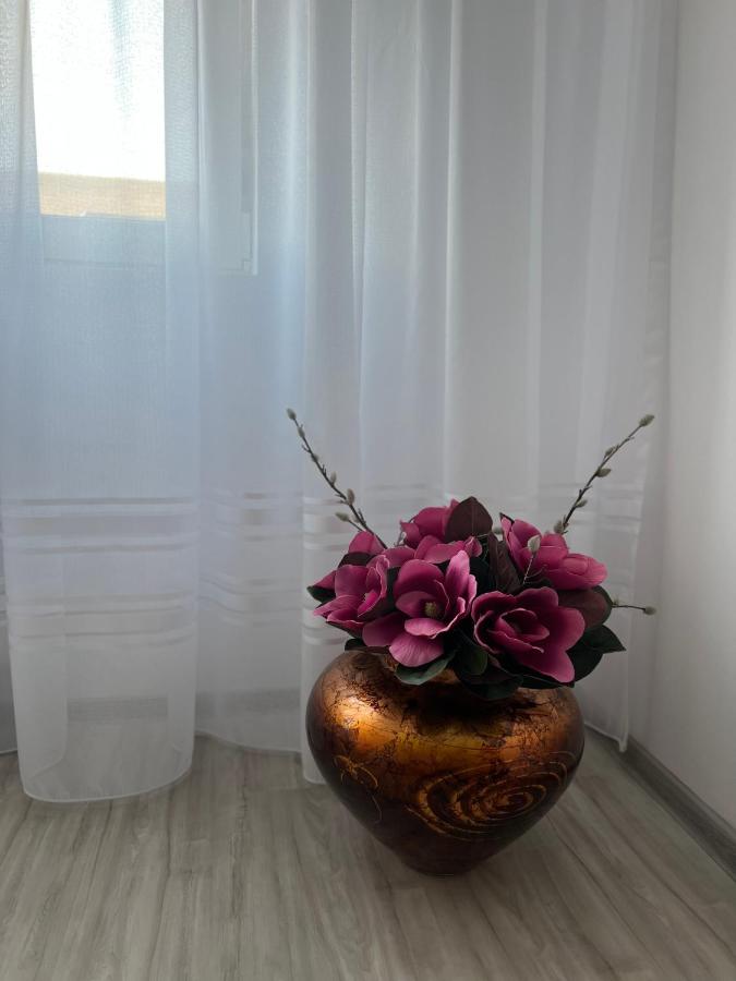 Apartament Tudor - B&B