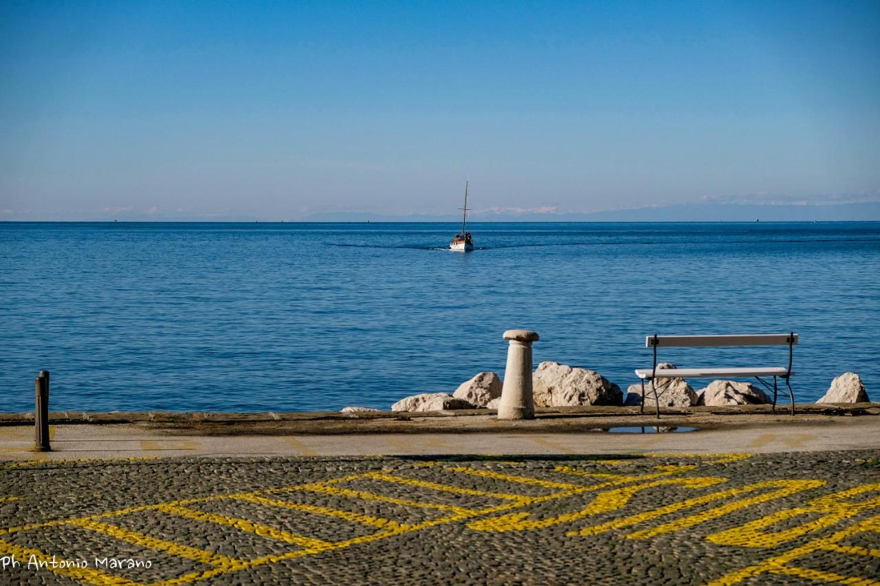 Apartma Dani Piran "Lets get wet together" - Ferienwohnung Piran