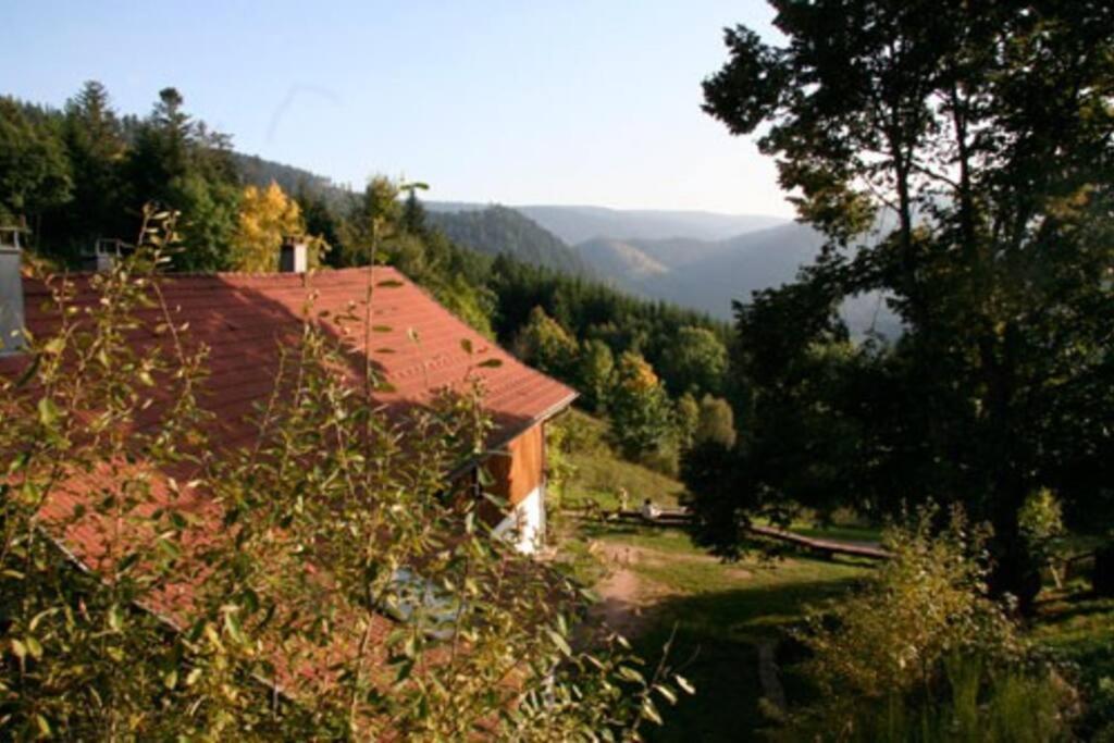 B&B Plainfaing - Appartement dans vielle ferme au coeur des Vosges - Bed and Breakfast Plainfaing