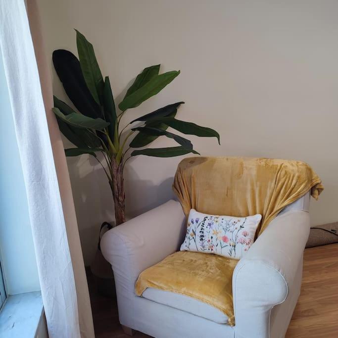 Casa Alfarroba - B&B Albufeira