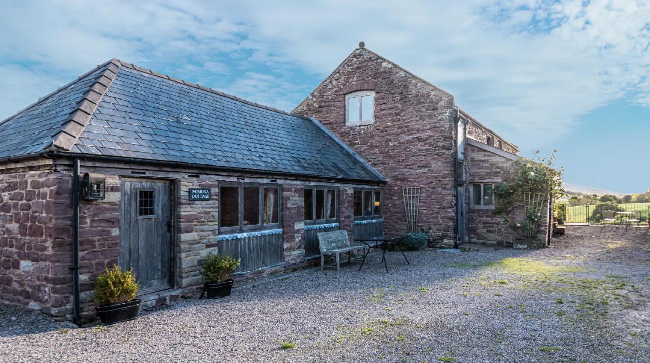 Pomona Cottage at Old King Street Llama Farm - B&B