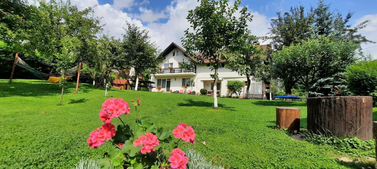 Pensiunea Amarilis - B&B Moeciu de Jos