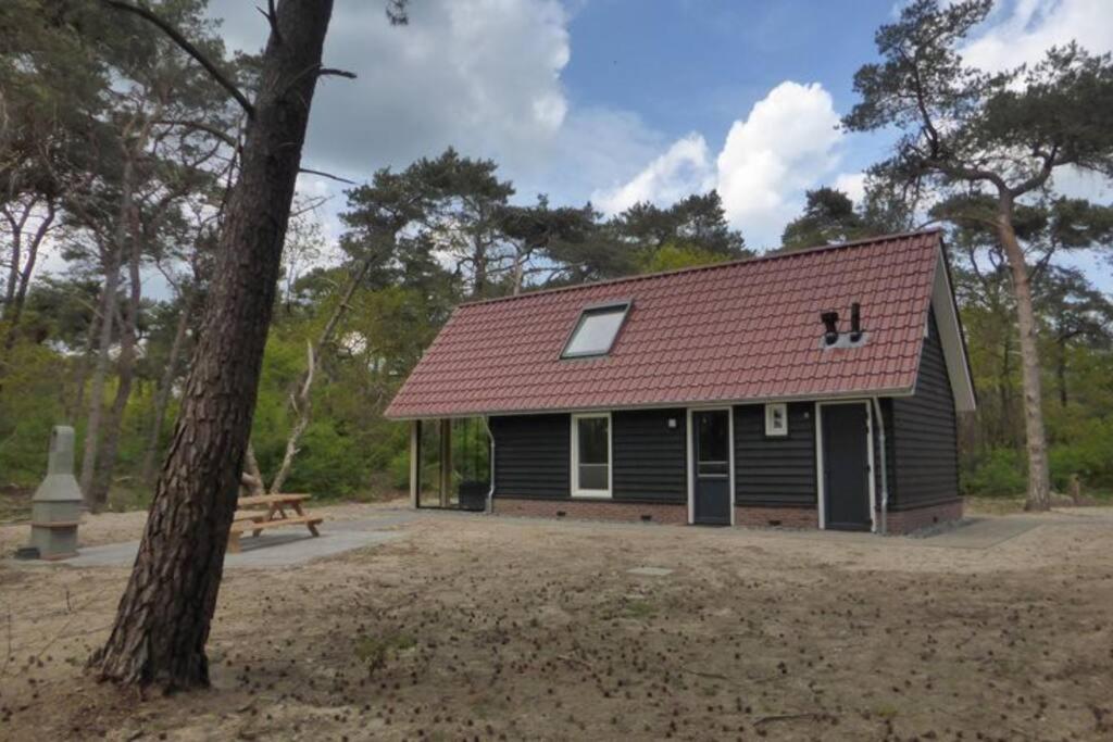 het Beerzer Boshuis - Bed and Breakfast Beerze