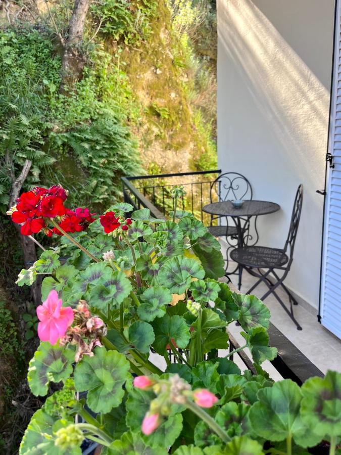 Helena's Apartment in Corfu town - B&B
