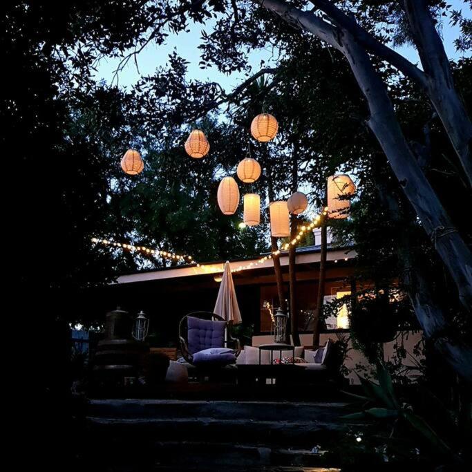 The Secret Figtree Cottage - B&B