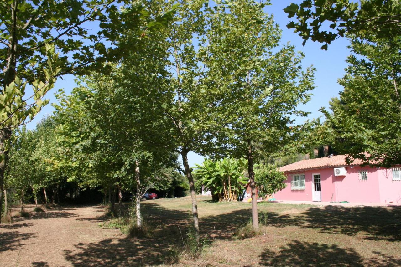 Monolocale con Vista Giardino