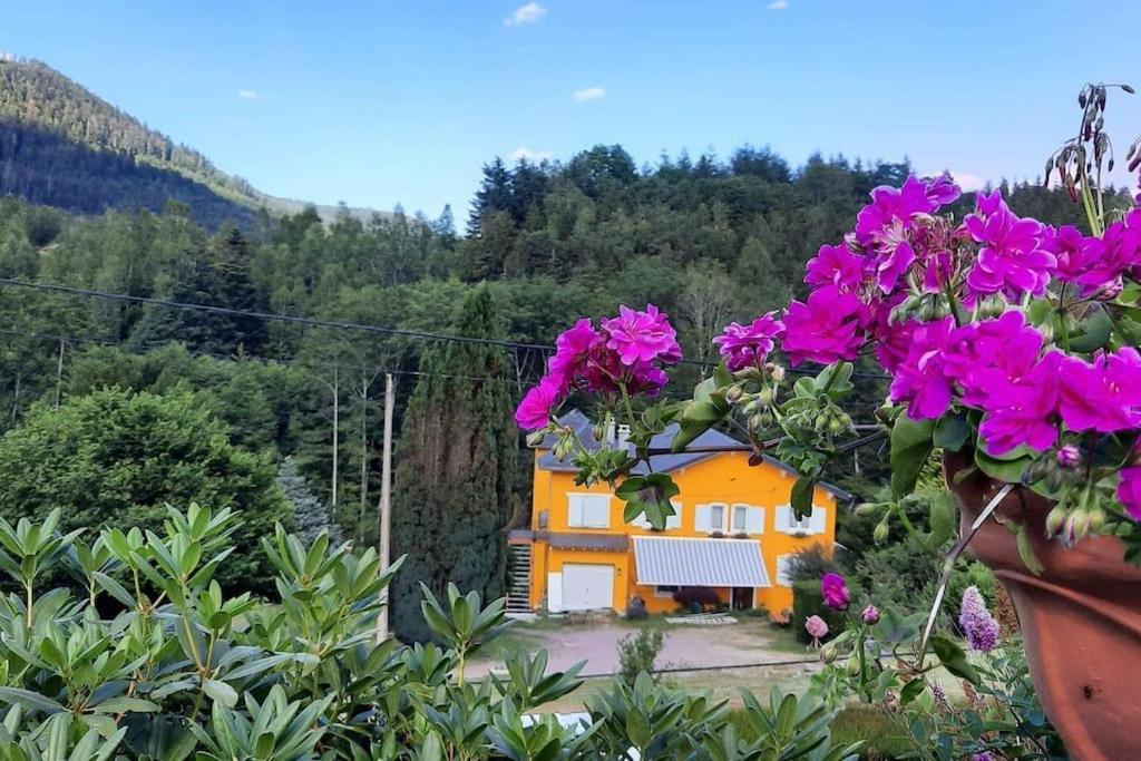 Gîte forestier du Moulin (10 pers) - B&B