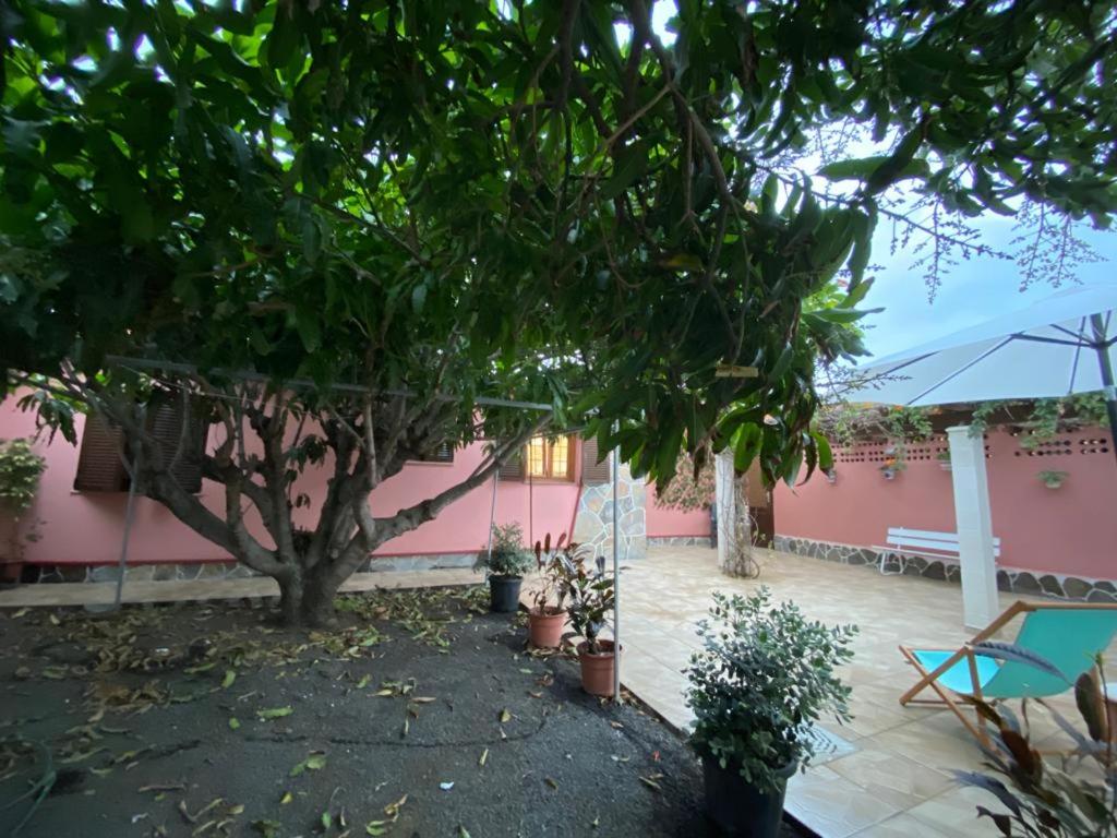 Casa Pepa y Argeo - B&B