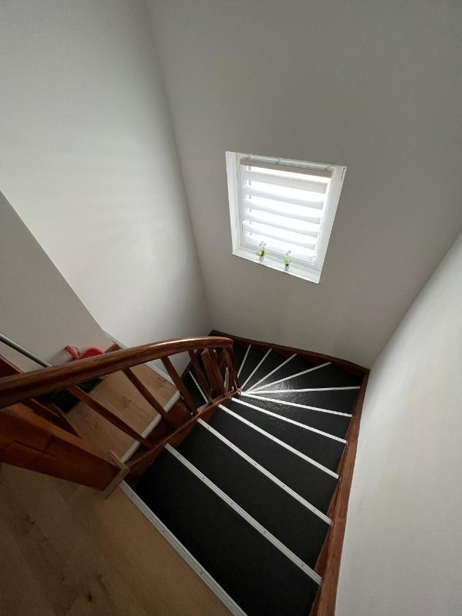 S&D - B&B Kapfenberg