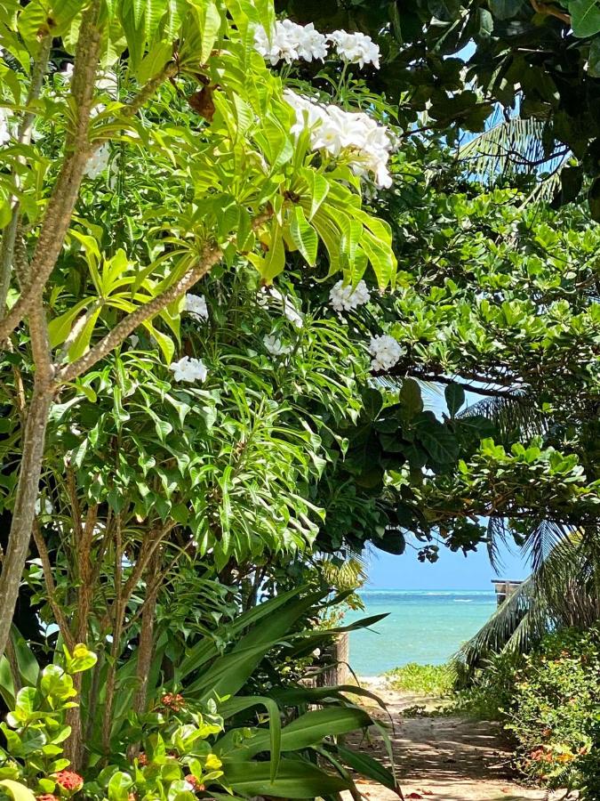 Casa de Praia em Japaratinga-AL - B&B