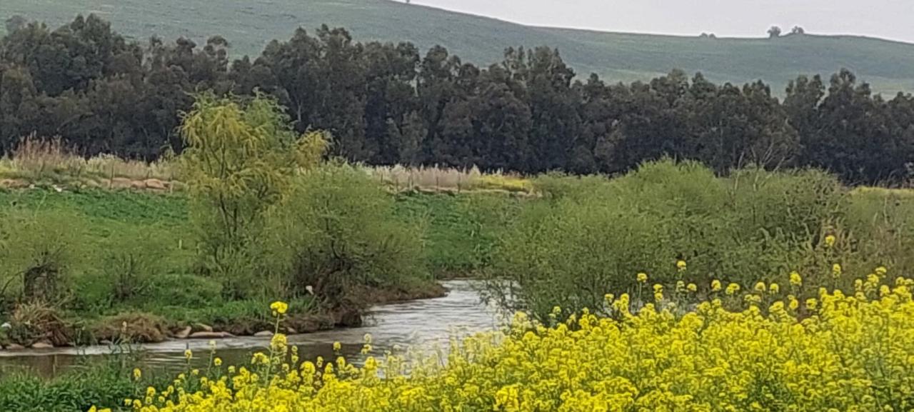 Suite con bañera de hidromasaje