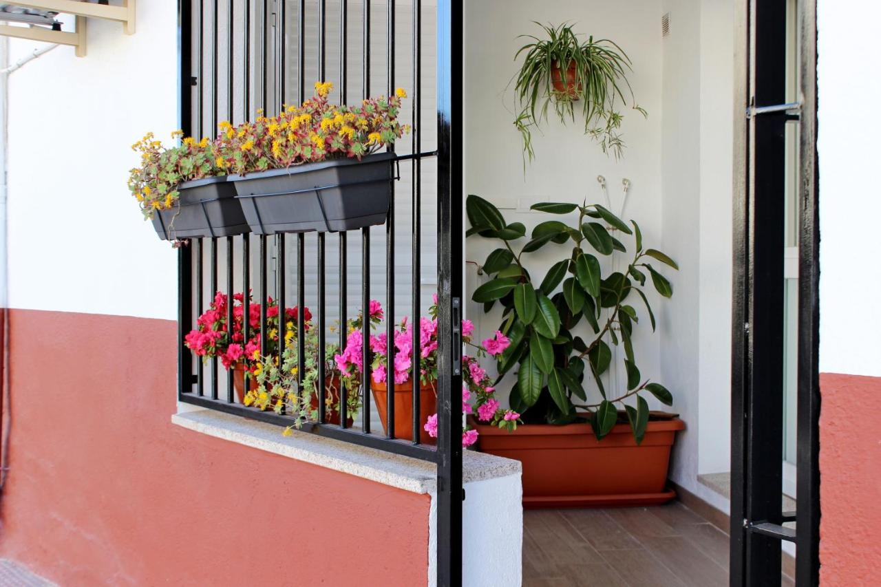 Apartamento turístico la Vera - B&B