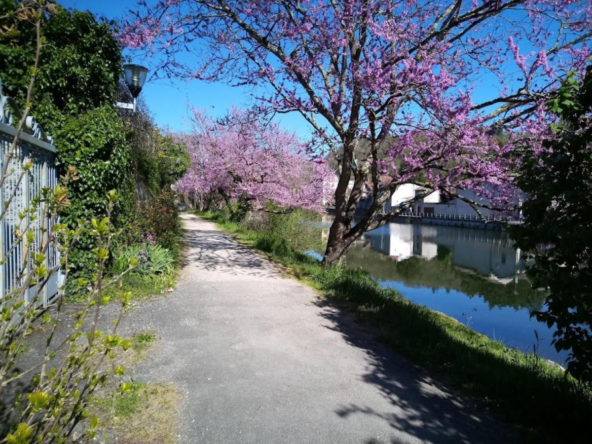 Ma maison au bord de l'eau - B&B Villefranche-de-Rouergue