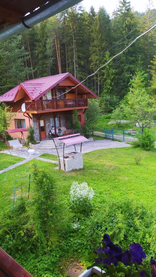 Лісова казка - B&B