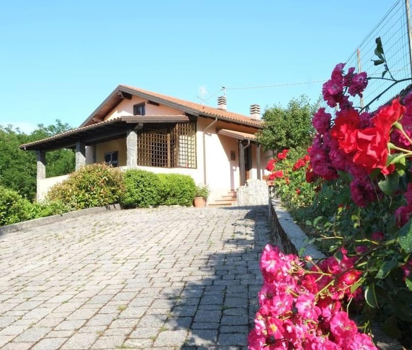 Villa with Pool near 5Terre Firefly - B&B Quaratica