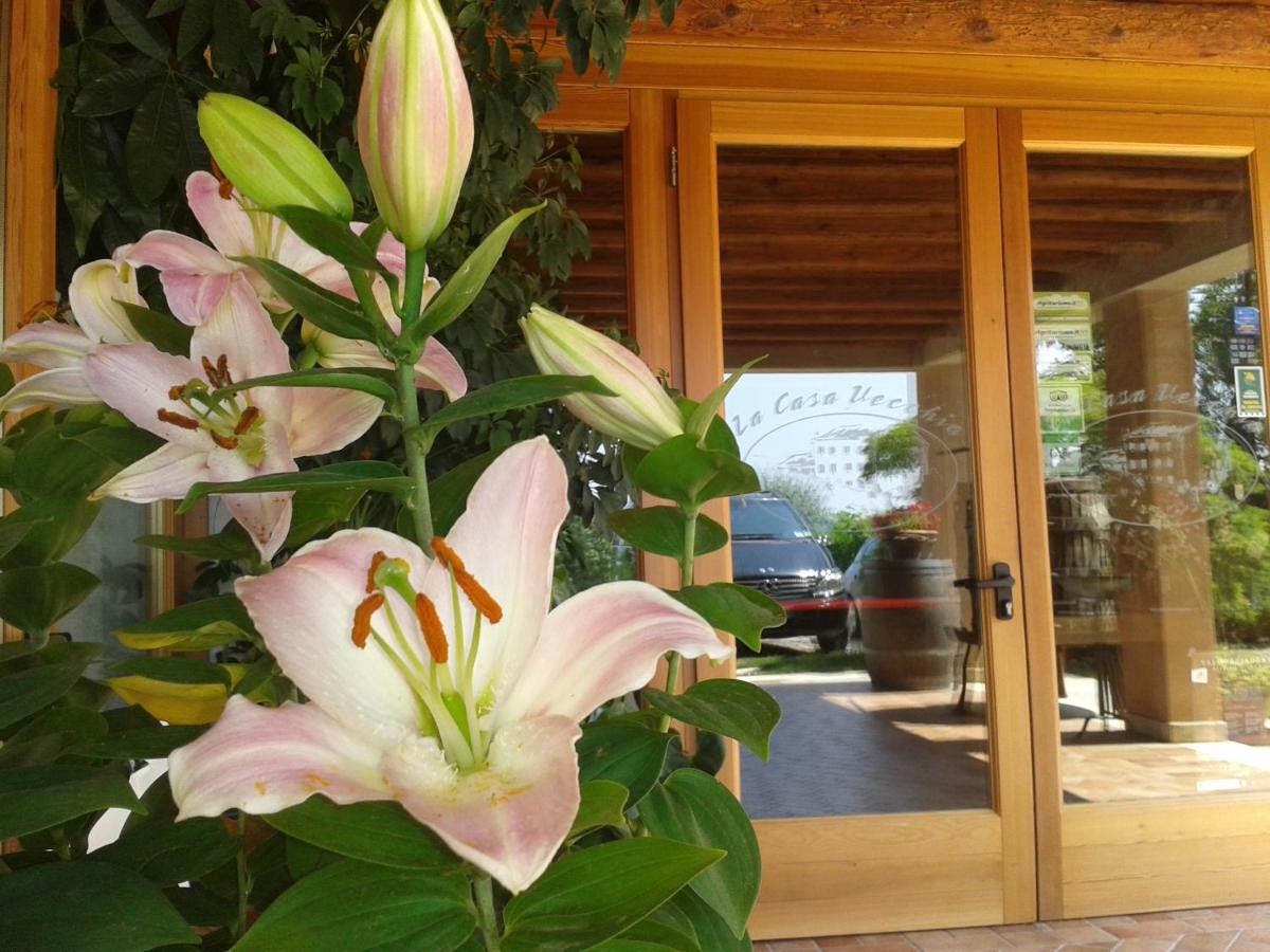 La Casa Vecchia - Ferienwohnung Valdobbiadene