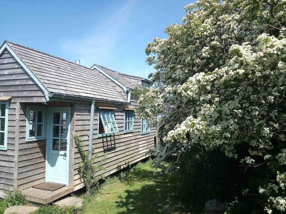 B&B Bude - Tiny House on isolated farm by the Cornish Coast - Bed and Breakfast Bude