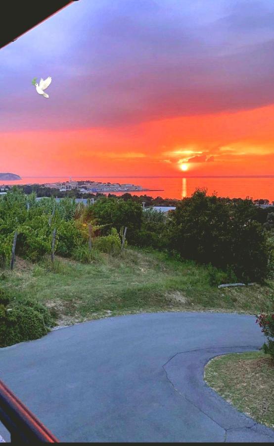 Winehouse Dolcevista Izola - B&B