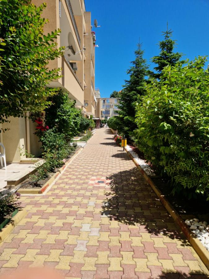 Kamelia Suites - Ferienwohnung Sonnenstrand