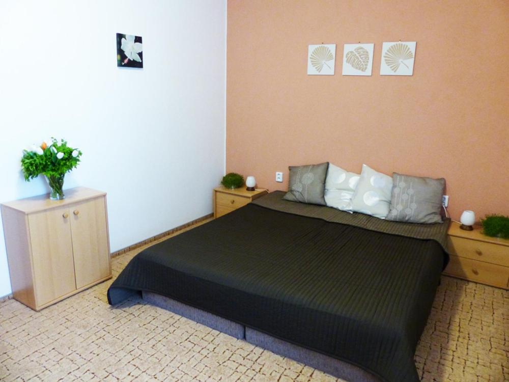 Appartamento con 1 Camera da Letto