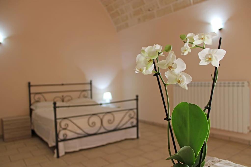 B&B Spongano - Le 3 volte/ Antica dimora - Bed and Breakfast Spongano