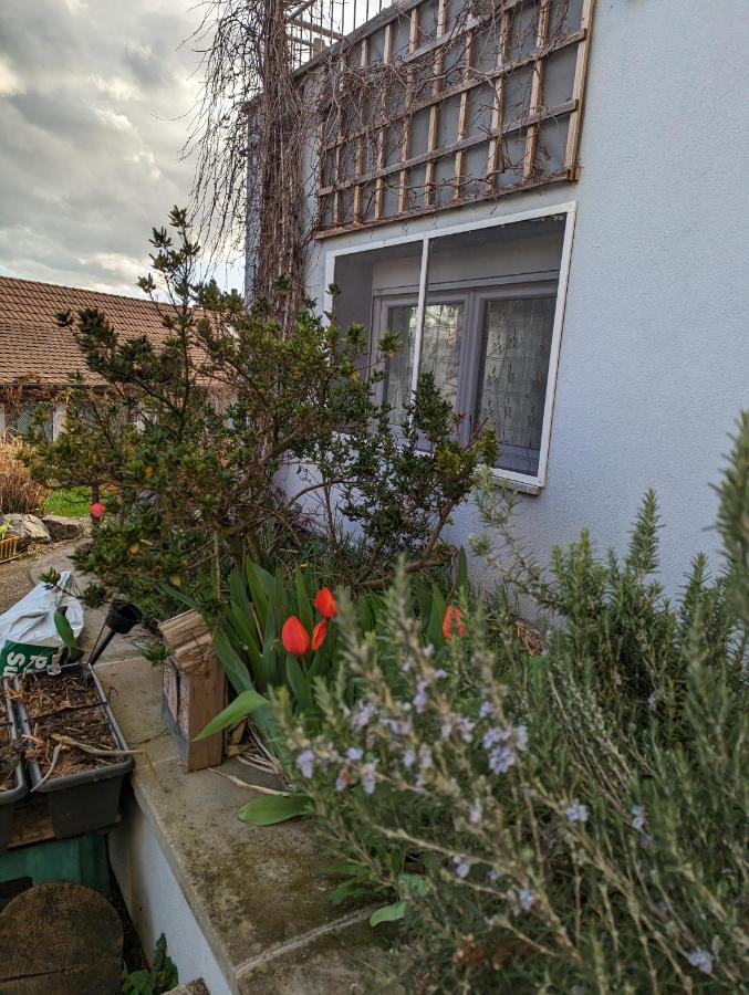 Joli gîte proche Strasbourg - B&B