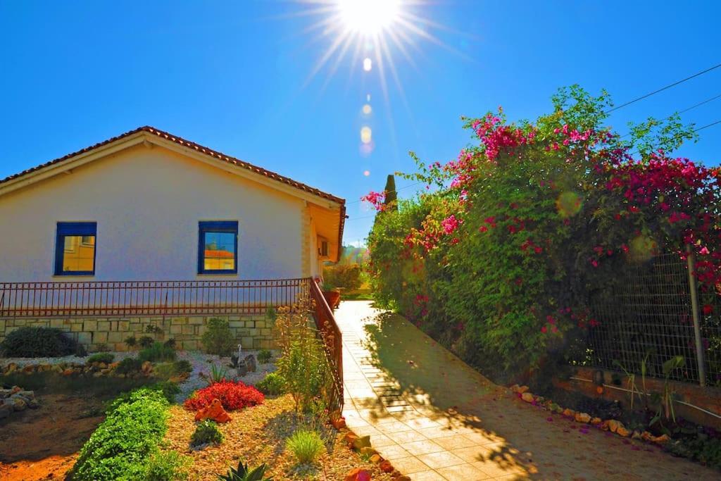 Villa Rosa Kreta / Old Chersonissos - B&B