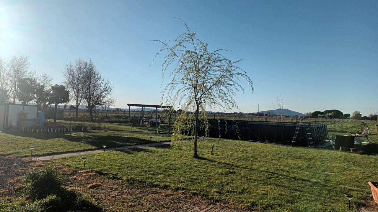 Podere 660 appartamento il Giuggiolo - Bed and Breakfast