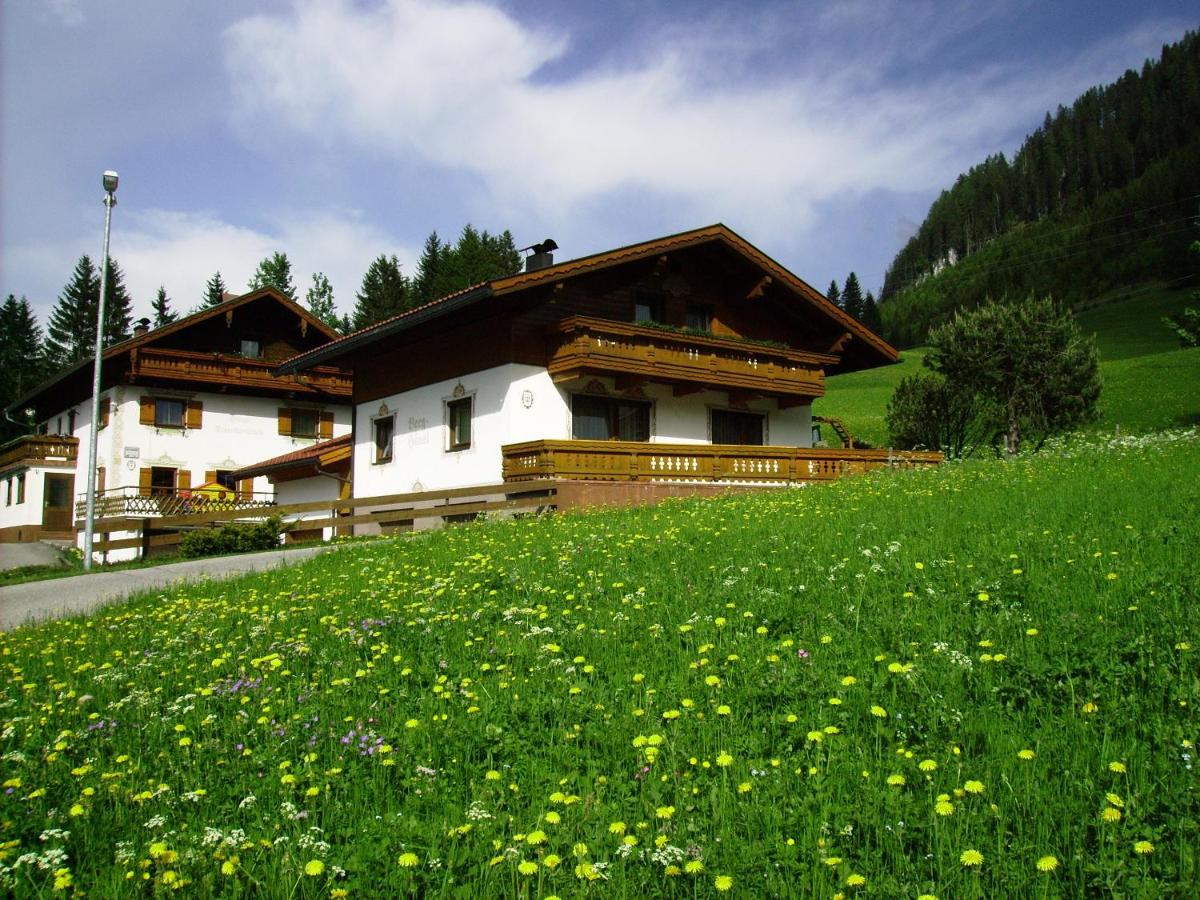 Haus Steinkarblick und Berghäusl - Bed and Breakfast