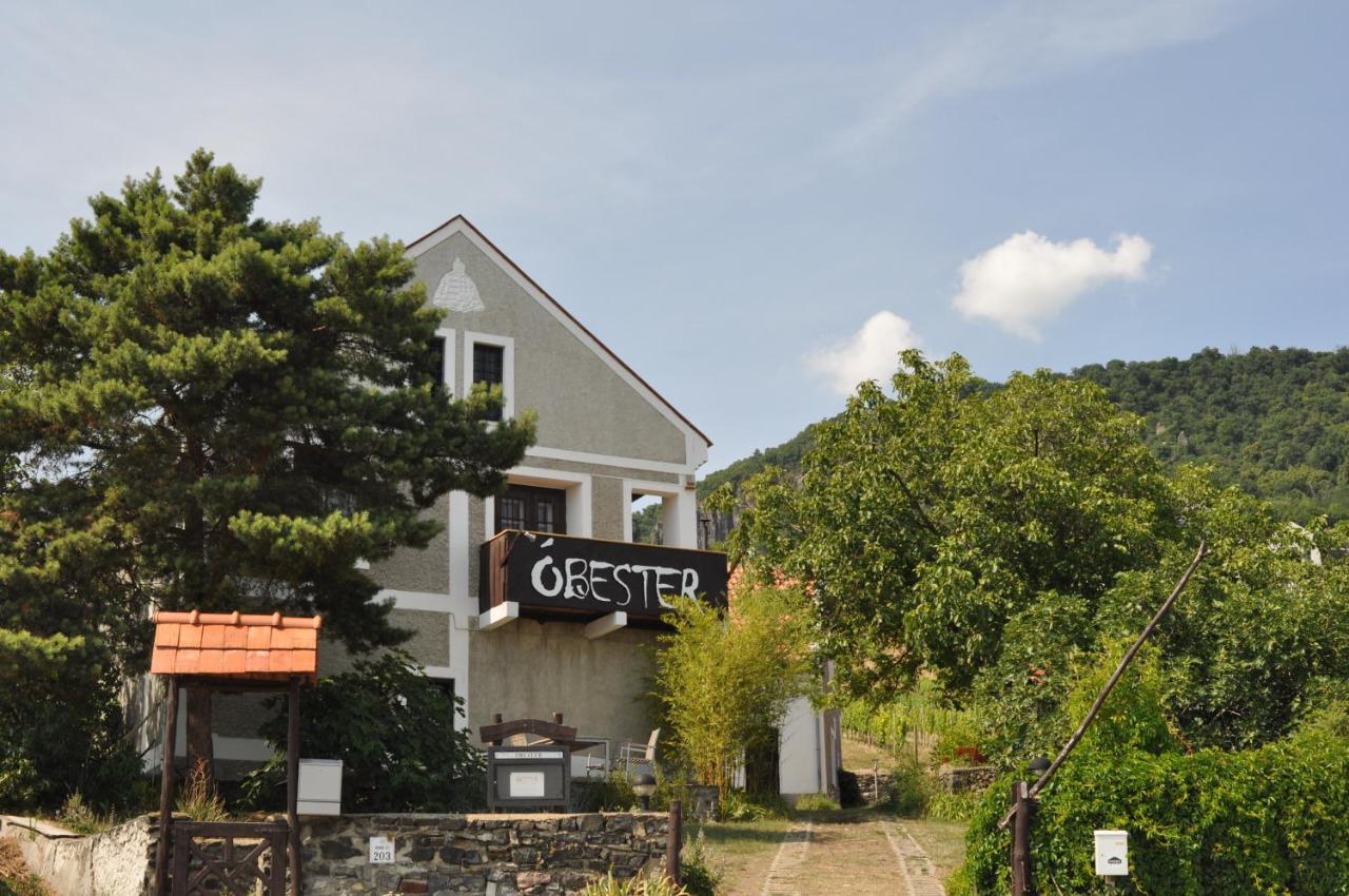 Óbester Panzió - Ferienwohnung