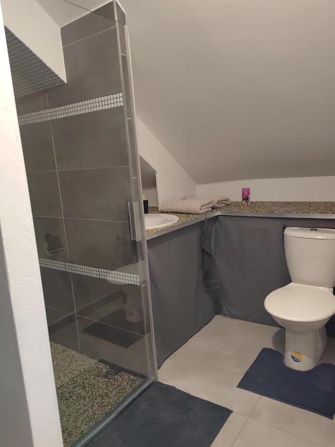 Apartment with Shower