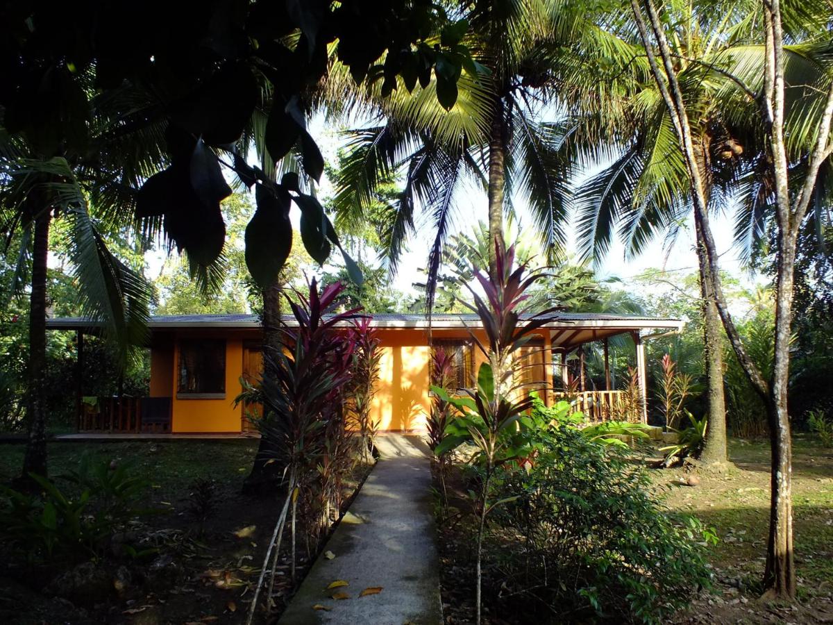 Cabinas Caribe Luna - Chambres d’hôtes Cahuita